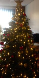 adqe-christmas-tree