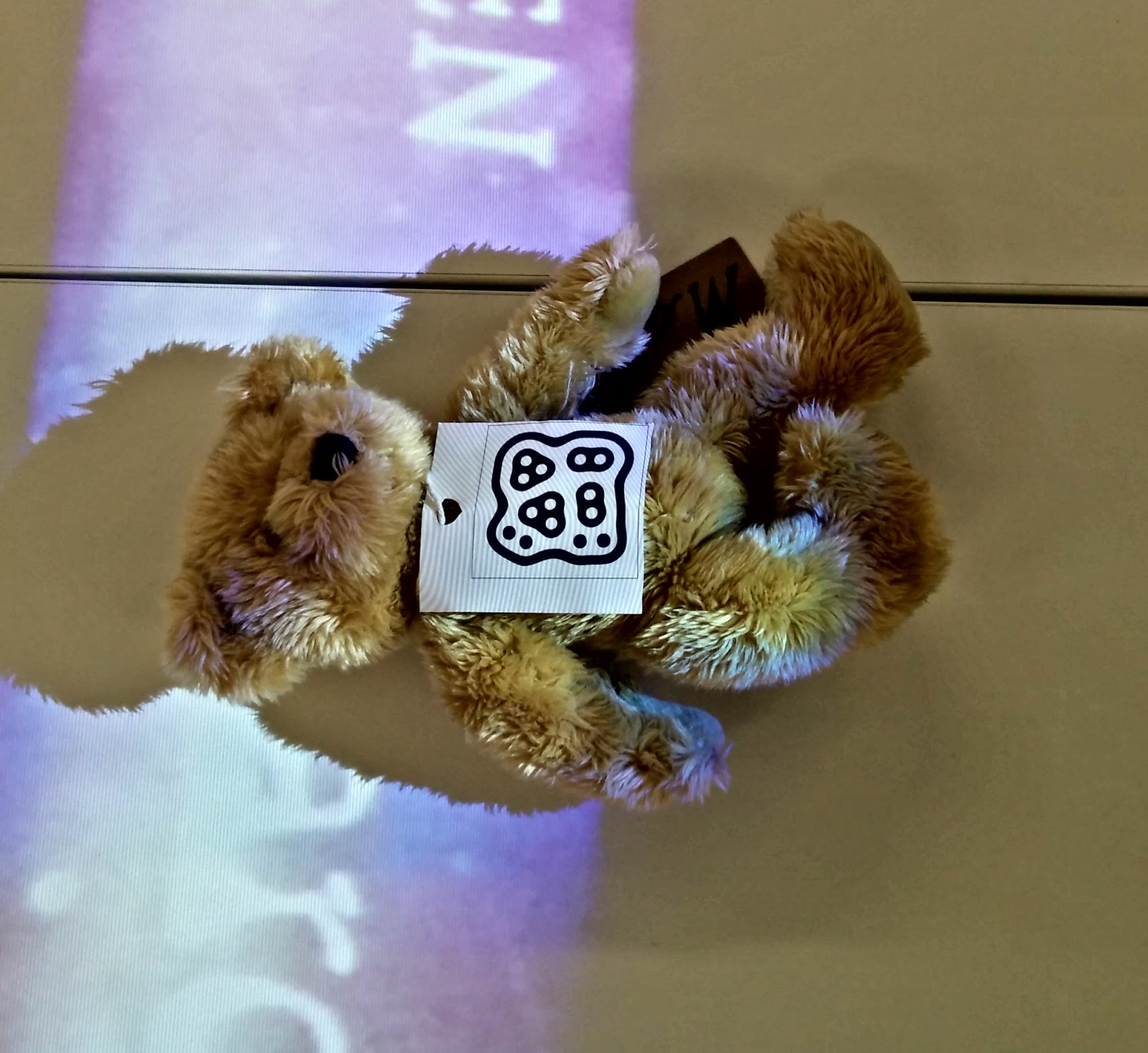 'Mo', the Mass Observation Archive mascot, volunteers to pilot the fiducial tracker.