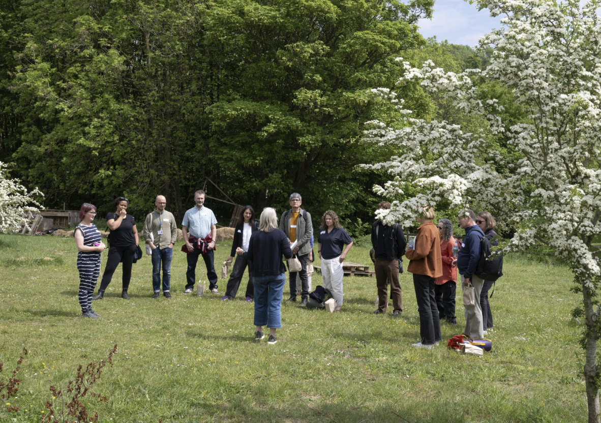 13 people standing in a semicircle in an outdoor green space listening to a lady in the centre with her back to the camera