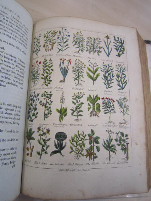 SxBaker/161 - Culpeper's English physician; and complete herbal. To which are now first added upwards of one hundred additional herbs... Beautified and enriched with engravings of upwards of four hundred and fifty different plants, and a set of anatomical figures. London: printed for the author, and sold at the British Directory Office; and by Champante and Whitrow, [1789?]