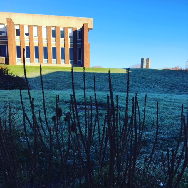 Picture of frosty Library slope