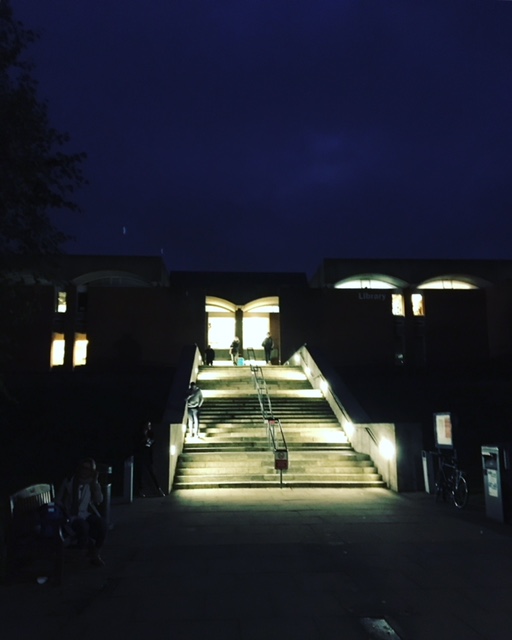 Library steps by night