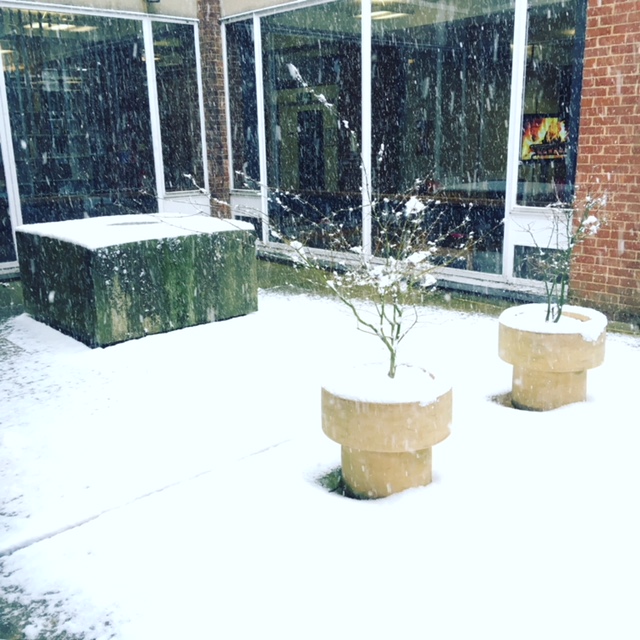 Library courtyard in snow