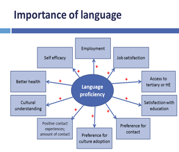 Importance of language