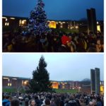 lib-square-tree-lights-collage