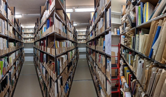 A picture of some of the collections from the BLDS basement