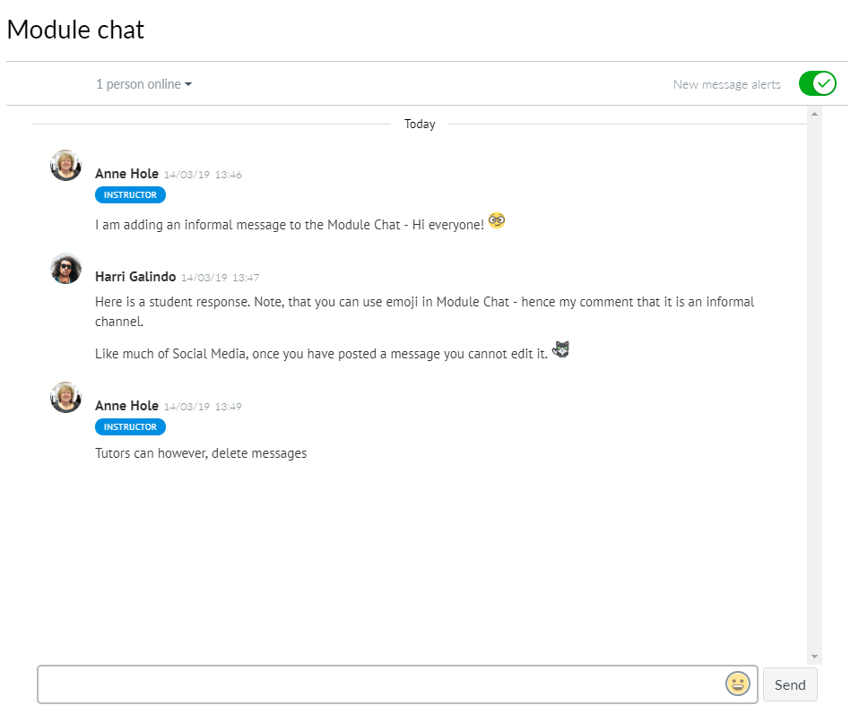 screenshot of Chat window
