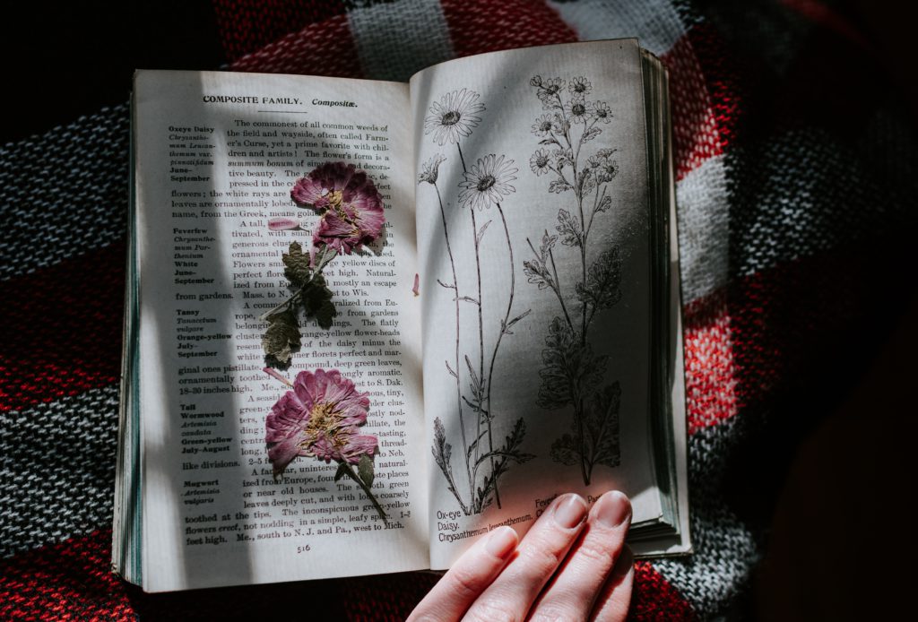 Plant textbook with pressed flowers inside