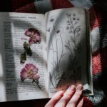 kelly-sikkema-1291689-unsplash