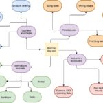 Organisational tools for study