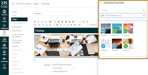 Screenshot of a Canvas Page being edited with the Commons Favorite pop-out window highlighted.