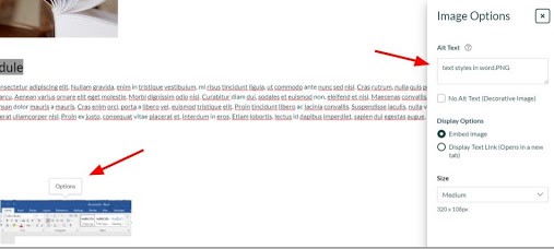 Arrows pointing to Options above an image and to the text field for adding alt text to images in Canvas.