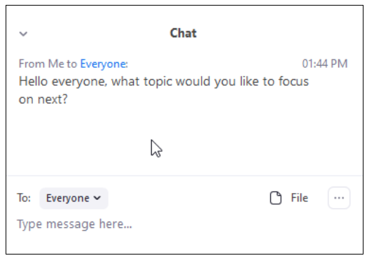 screenshot of Zoom Chat box