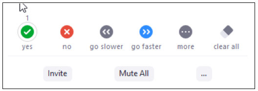 screenshot of non-verbal feedback options in Zoom