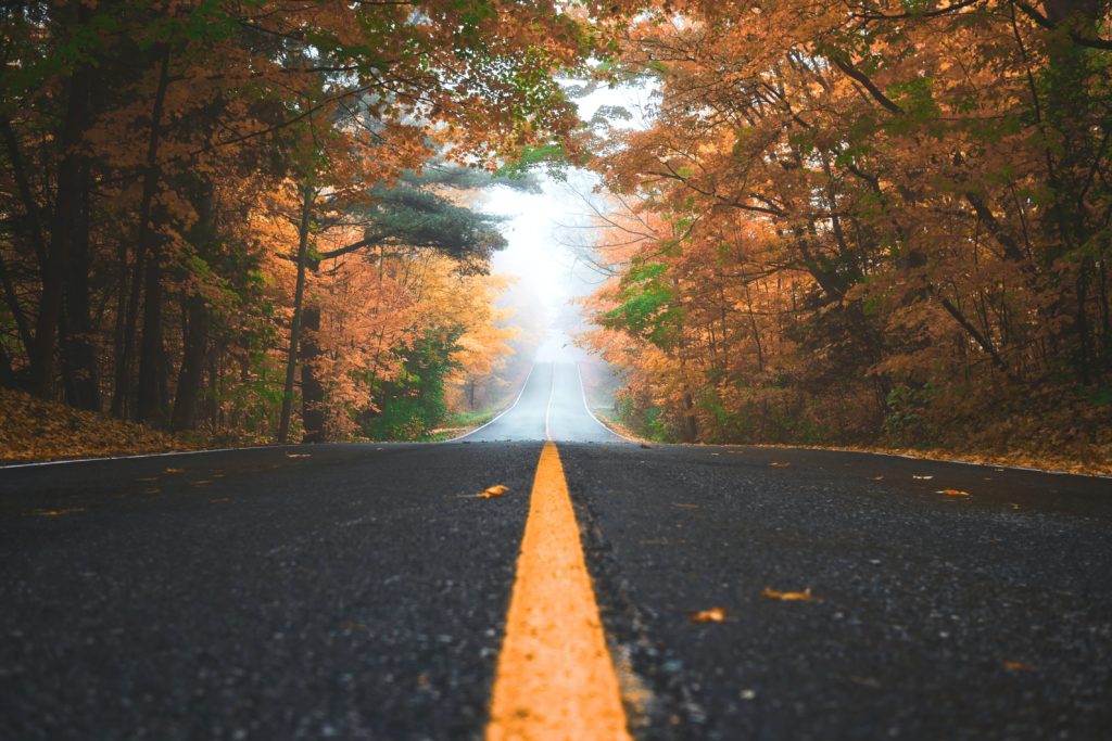 view down a long straight road between autumnal trees